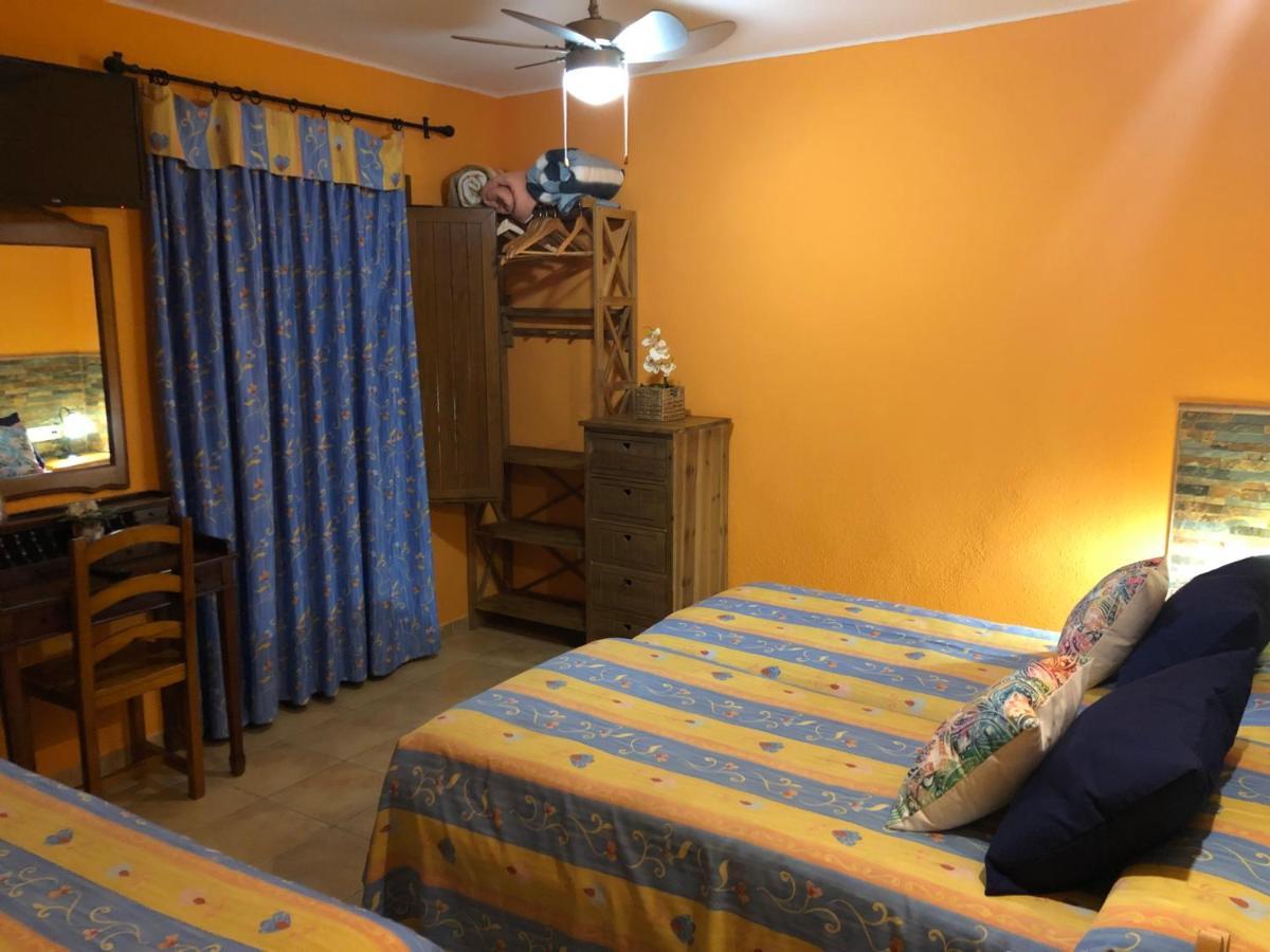 Guest house Chiki 2*